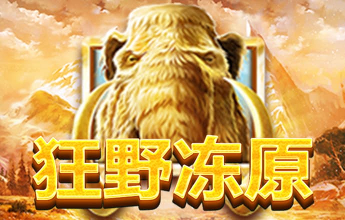 6m6m威九国际